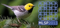 Kaggle MLSP 2013 Bird Classification Challenge