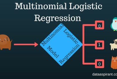 Multinomial Logistic Regression model