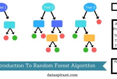 Random Forest Introduction