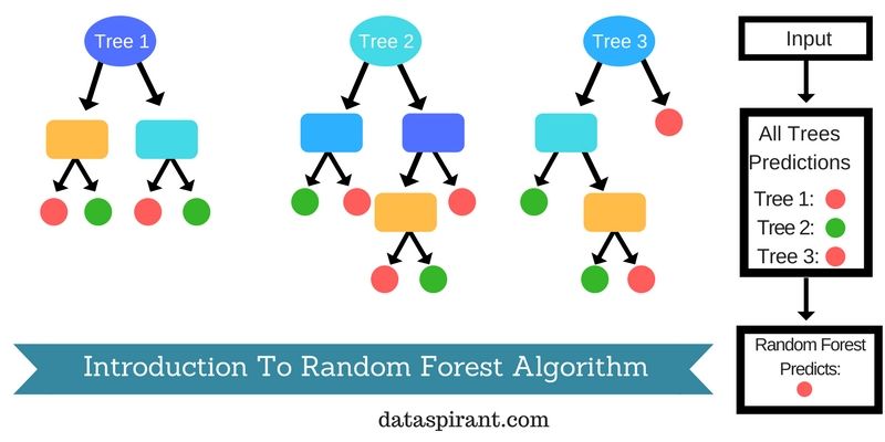 Random Forest Introduction