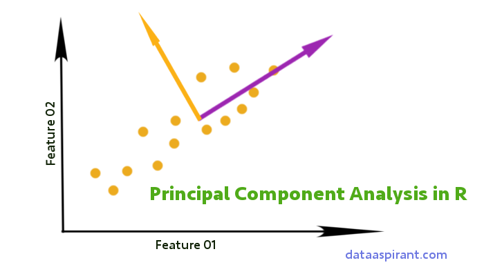 How to perform the principal component analysis in R