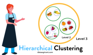 Hierarchical Clustering Algorithm