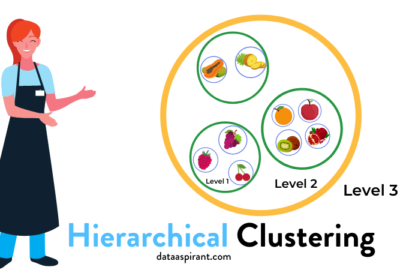Hierarchical Clustering Algorithm